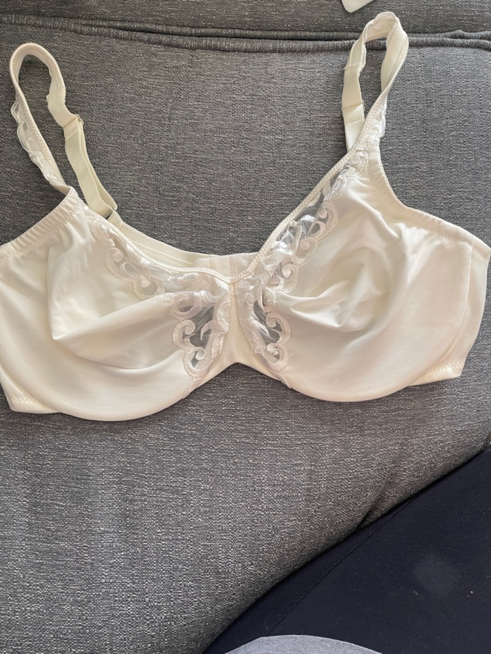 Lilyette Ivory Lace-Trim Underwire Bra